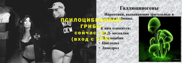 гашик Майский