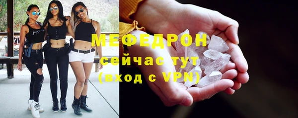индика Михайлов