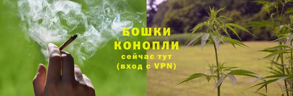 индика Михайлов