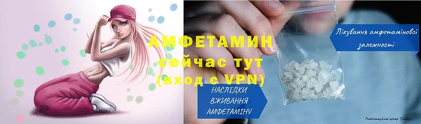 индика Михайлов