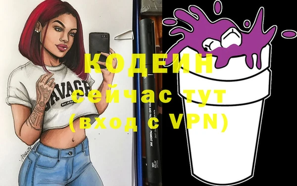 индика Михайлов