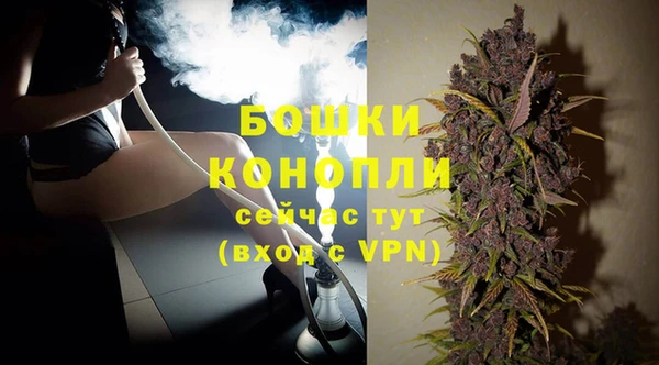 индика Михайлов