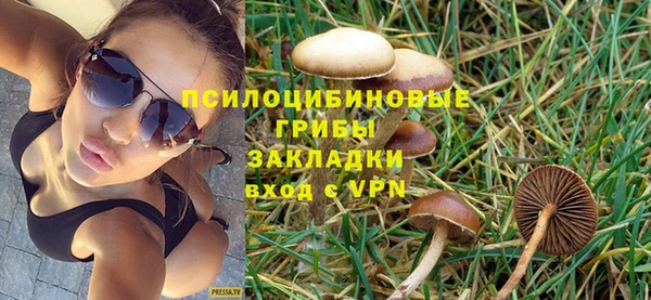 мескалин Михайловск
