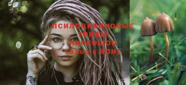 индика Михайлов