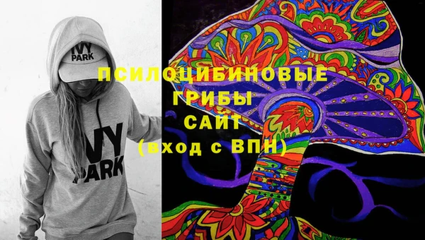 индика Михайлов