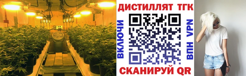 где купить наркоту  Каменка  ТГК вейп с тгк 