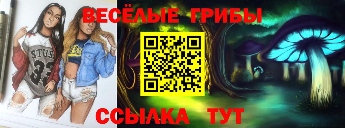 Псилоцибиновые грибы ЛСД Каменка