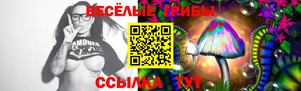 Псилоцибиновые грибы MAGIC MUSHROOMS  Псилоцибиновые грибы Psilocybine cubensis  Каменка  Вход с VPN 